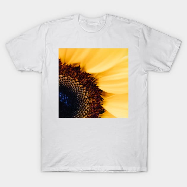 Sunflower T-Shirt by satyam012